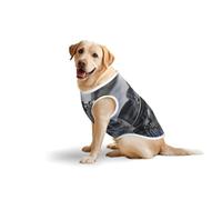 Steam Train Cloudsprint - Chaleco para mascotas grandes, transpirable, sin mangas, acogedor, ligero