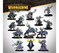 Steamforged Games Warmachine: Dusk House Kallyss Expansión Aux (Importación USA)