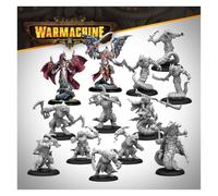 Steamforged Games Warmachine: Expansión Auxiliar de fragmento de Llama de Sombra Khymaera