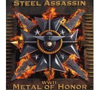 Steel Assassin - Wwii: Metal Of Honor