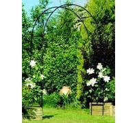 Steel Frame Garden Arch by Farm and Garden