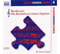 Stefan Schaub - Beethoven die revolution in se