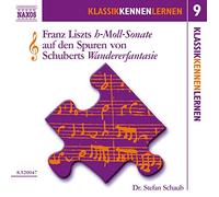 Stefan Schaub - Schaub die h-moll-sonate vol.9