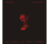 Stefan Wesolowski - Stefan Wesolowski: Song Of The Night Mists [VINYL] [Vinilo]