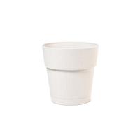 Stefanplast Planta en Florero Ethica en Plástico Reciclado Con Agua CM 25