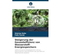 Steigerung der Gesamteffizienz von Wasserstoff-Energiespeichern: Untersuchung von Energiespeichern, die aus Elektrolyseuren, Brennstoffzellen des Typs PEM und Metallhydriden bestehen