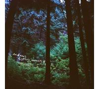 Stein & Mari - Stein & Mari's Daydream Community (180g Vinyl) [Vinilo]