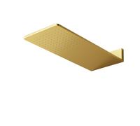 Steinberg Serie 390 Wall Ducha de techo tipo lluvia, con conexión directa a la pared, con Easy-Clean, 600x250mm, 3905661BG, Color: Oro cepillado