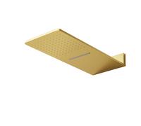 Steinberg Serie 390 Wall Rain ducha de techo, conexión directa a la pared, Easy-Clean, función de salpicaduras, 600x250mm, 3905662BG, Color: Oro cepillado