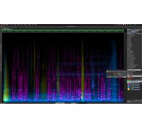 Steinberg SpectraLayers Elements 12