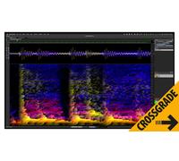 Steinberg SpectraLayers Pro 12 CG