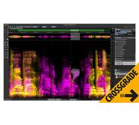 Steinberg SpectraLayers Pro 13 Comp. CG