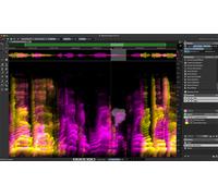 Steinberg SpectraLayers Pro 13 EDU