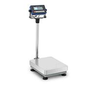 Steinberg Systems SBS-PF-30/1S - Balanza de plataforma (balanza de suelo, 30 kg, 300 x 400 x 117 mm, Kg/lb