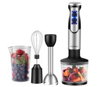 Steinborg - Batidora de acero inoxidable de 1500 W, batidor, picadora de acero inoxidable de 500 ml con función turbo, batidora de mano, picadora multifuncional