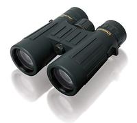 STEINER Prismáticos de Caza Observer 10x42 - Óptica de Calidad Alemana, imágenes Brillantes y detalladas, Gran Aumento, diseño de Borde de Techo liviano