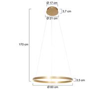 Steinhauer Lámpara colgante LED Ringlux Ø 60 cm, 2 luces, oro