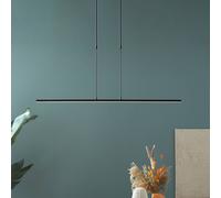 Steinhauer Lámpara colgante LED Zelena, negra, longitud 122cm, metal, CCT