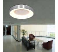 Steinhauer plafonniere Ringlede - plata - - 3086ZI