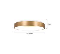 Steinhauer Plafón LED Ringlede, 2.700 K Ø 38 cm dorado