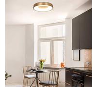 Steinhauer plafones Ringlede - oro - - 2563GO