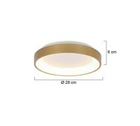 Steinhauer Plafón LED Ringlede, dorado, altura 6 cm, Ø 28 cm