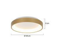 Steinhauer Plafón LED Ringlede, dorado, altura 6 cm, Ø 38 cm