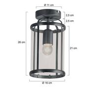 Steinhauer Plafón Pimpinela, negro, metal, cristal