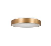 Steinhauer plafones Ringlede - oro - - 2562GO