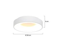 Steinhauer Ringlede Plafón LED, 2.700 K, Ø 38 cm, blanco, metal
