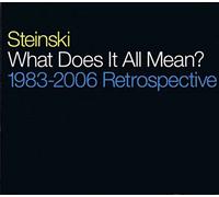Steinski - What Does It All Mean(1983-2006 Retrospective)
