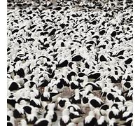 Stella Donnelly - Flood - Vinyle Rouge [Vinilo]