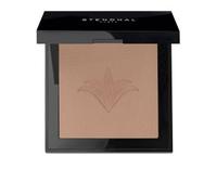 Stendhal Paris Poudre De Soleil Sublimatrice 210-Atacama 9.5g