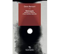 Sténopés. Histoire et théorie d'une machine naturelle (Images, médiums)