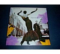 Stephen Tintin Duffy - Icing On The Cake - Red logos