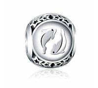 Sterling Silver Charms Missy Jewels - Abalorios de Plata de Ley 925 para Pulseras para Charms Tipo Pandora, Chamilia, Biagi, Swarovski, Horóscopo Cuentas con Signos del Zodiaco, Color Plata y Plata
