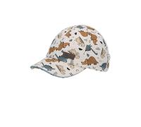 Sterntaler Gorra de béisbol para niño, diseño de dinolo, Plata, 51