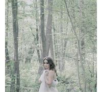 Steso Songs - Now It's Dark