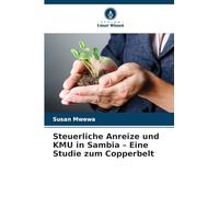 Steuerliche Anreize und KMU in Sambia - Eine Studie zum Copperbelt