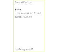Steve: A Framework for AI and Identity Design