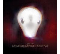 Steve Adey - Everything in Its Right Place [Vinilo]