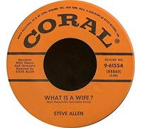 STEVE ALLEN / JAYNE MEADOWS - what is a wife? / what is a husband? 45 rpm single