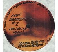 Steve Bicknell - Lost Recordings #2 - How Can We Know?