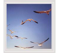 Steve Dalachinsky - I Thought It Was the End of the World Then the End