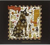 Steve Earle - Washington Square Serenade [Vinilo]