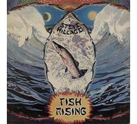 Steve Hillage - Fish Rising - 1st