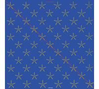 Steve Hillage Xitintoday (Vinyl) (Importación USA)