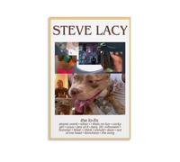 Steve Lacy The LO-FIS - Lienzo decorativo para pared, estilo moderno y simple, adecuado para varias escenas de la vida, también es un gran regalo de cumpleaños, opción de recuerdo sin marco, estilo 20