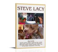 Steve Lacy The LO-FIS - Lienzo decorativo para pared, estilo moderno y simple, adecuado para varias escenas de la vida, también es un gran regalo de cumpleaños, recuerdo de elección, estilo marco, 60