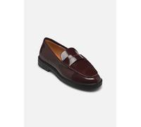 Steve Madden Adison 40 Vino